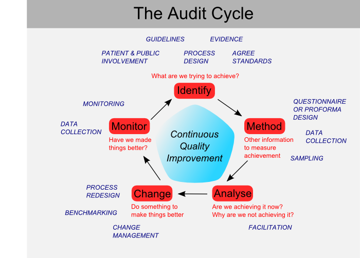 auditcycle_small.png